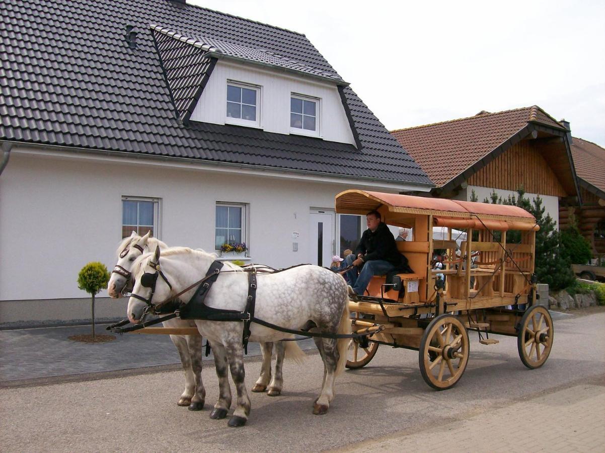 Gastehaus „Haus Am Hahnenberg“ Bed & Breakfast Marmagen Dış mekan fotoğraf